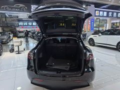 Tesla Model Y 2022 Performance All-Wheel Drive - ფოტო 17
