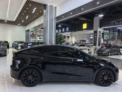 Tesla Model Y 2022 Performance All-Wheel Drive - ფოტო 18