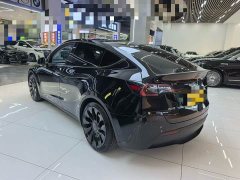 Tesla Model Y 2022 Performance All-Wheel Drive - ფოტო 19