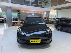 Tesla Model Y 2022 Performance All-Wheel Drive - ფოტო 2