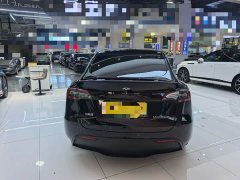 Tesla Model Y 2022 Performance All-Wheel Drive - ფოტო 20