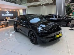 Tesla Model Y 2022 Performance All-Wheel Drive - ფოტო 3