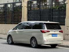 Buick GL8 ES Luxe 653T Comfort - ფოტო 17