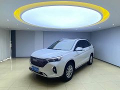 Haval M6 2021 PLUS 1.5T DCT Luxury Smart Connected Edition - ფოტო 1