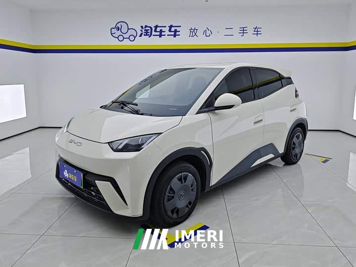 BYD Seagull Vitality Edition