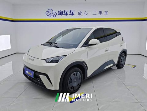 2024 BYD Seagull 2023 Vitality Edition - ავტომობილი ჩინეთიდან