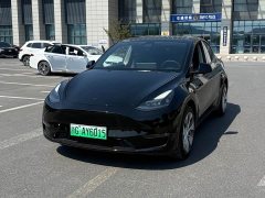 Tesla Model Y Long Range All-Wheel Drive - ფოტო 1