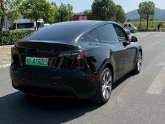 Tesla Model Y Long Range All-Wheel Drive - ფოტო 10