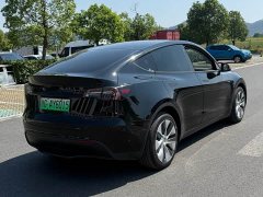 Tesla Model Y Long Range All-Wheel Drive - ფოტო 11