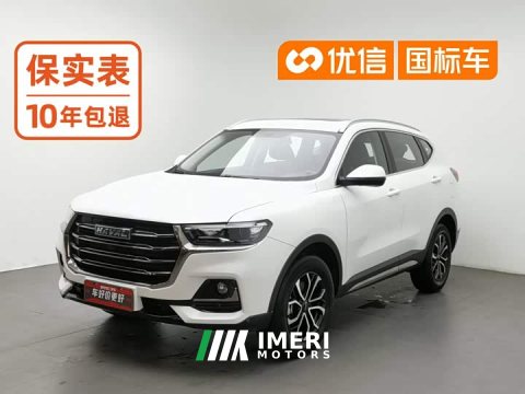 2022 Haval H6 2021 National Trend Edition 1.5T Automatic Urban Version - ავტომობილი ჩინეთიდან