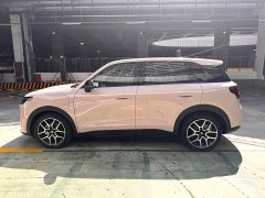 Leapmotor A10 505 Pleasure Edition - ფოტო 6