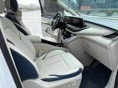 Buick GL8 ES Luxe Enjoyment Edition - ფოტო 8