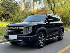 Great Wall Dachshund 2024 1.5T DCT Border Collie Edition - ფოტო 1