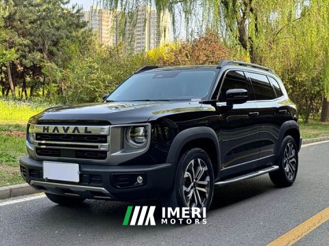 2025 Great Wall Dachshund 2024 1.5T DCT Border Collie Edition - ავტომობილი ჩინეთიდან