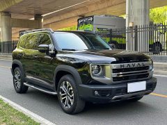 Great Wall Dachshund 2024 1.5T DCT Border Collie Edition - ფოტო 3