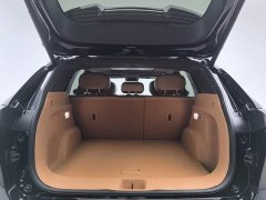 Dongfeng Fengshen L8 2025 185KM Dream Edition - ფოტო 16
