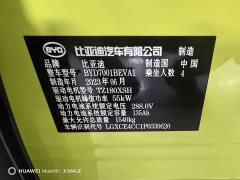 BYD Seagull Flying Edition - ფოტო 11