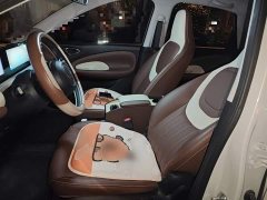 Wuling Binguo 333km Joy Edition - ფოტო 11