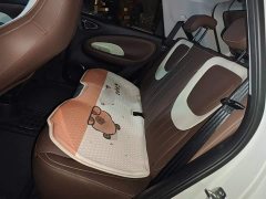 Wuling Binguo 333km Joy Edition - ფოტო 13