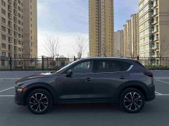 Mazda CX-5 2.5L Automatic AWD Premium - ფოტო 13