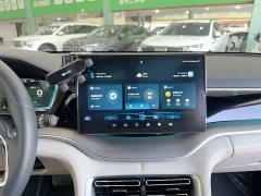BYD Song Plus New Energy New Energy 2021 DM-i 51KM Premium Edition - ფოტო 20