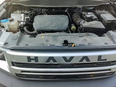 Great Wall Haval Big Dog Dachshund 2024 1.5T DCT Border Collie Edition - ფოტო 10