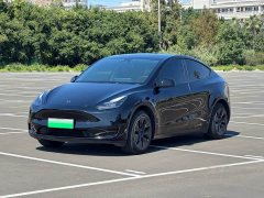 Tesla Model Y Rear-Wheel Drive - ფოტო 1
