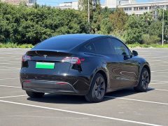 Tesla Model Y Rear-Wheel Drive - ფოტო 12