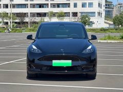Tesla Model Y Rear-Wheel Drive - ფოტო 2
