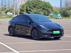 Tesla Model Y Rear-Wheel Drive - ფოტო 3