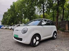 Changan Lumin 205km Xiangqin Edition - ფოტო 1