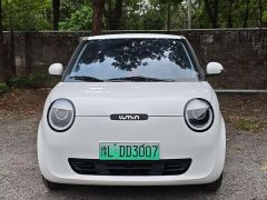 Changan Lumin 205km Xiangqin Edition - ფოტო 2