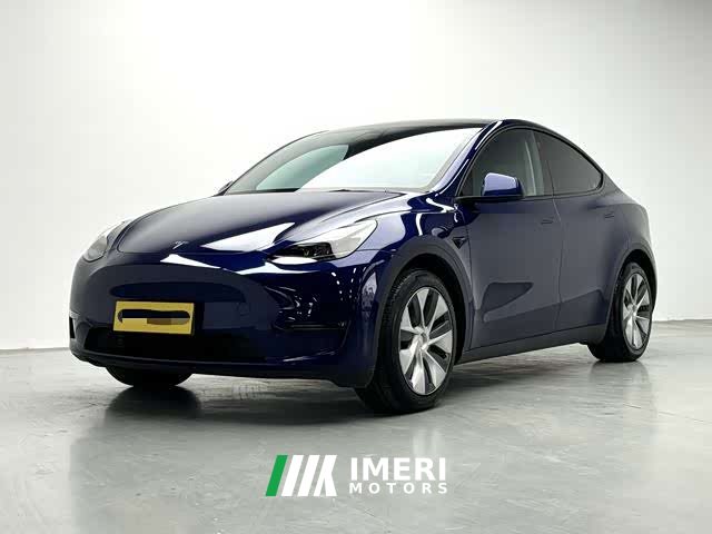 Tesla Model Y 2021 Standard Range RWD - ავტომობილი ჩინეთიდან