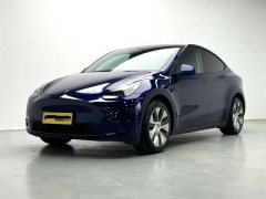 Tesla Model Y 2021 Standard Range RWD - ფოტო 1