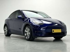 Tesla Model Y 2021 Standard Range RWD - ფოტო 3