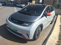 BYD Dolphin 405km Fashion Edition - ფოტო 1