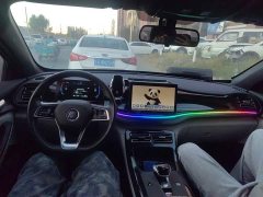 BYD Qin PLUS Champion Edition DM-i 55KM Leading - ფოტო 5