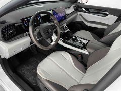 BYD Qin PLUS 2024 Glory Edition DM-i 55KM Superior - ფოტო 8