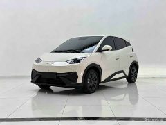 BYD Seagull 405km Carefree Edition - ფოტო 1