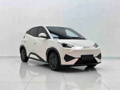 BYD Seagull 405km Carefree Edition - ფოტო 3