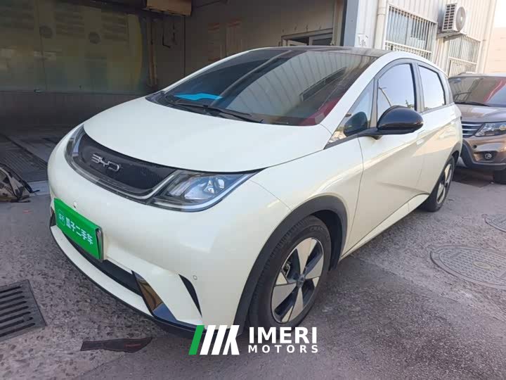 BYD Dolphin 420km Fashion Edition - ავტომობილი ჩინეთიდან