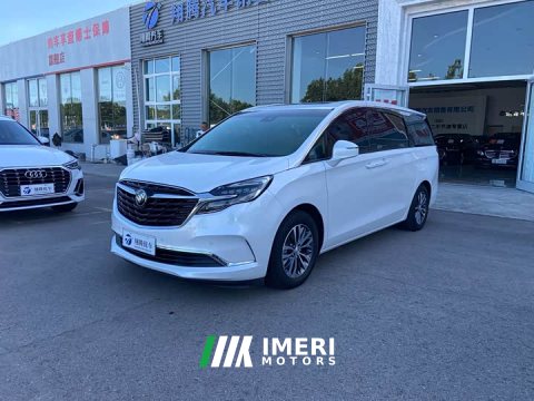2021 Buick GL8 ES Land Respect 653T Respect Enjoyment Edition - ავტომობილი ჩინეთიდან