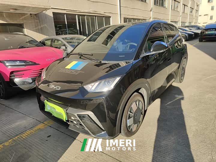 BYD Seagull 305km Vitality Edition - ავტომობილი ჩინეთიდან