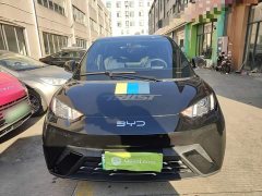 BYD Seagull 305km Vitality Edition - ფოტო 3