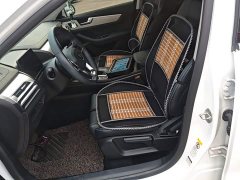 BYD Qin Edition 1.5TI Premium Version - ფოტო 15