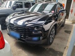 Jetour Jietu Dasheng 1.6T DCT King Plus - ფოტო 2