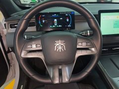 BYD Qin PLUS DM-i Smart Drive Edition 55KM Leading - ფოტო 11