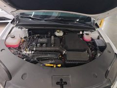 BYD Qin PLUS DM-i Smart Drive Edition 55KM Leading - ფოტო 20