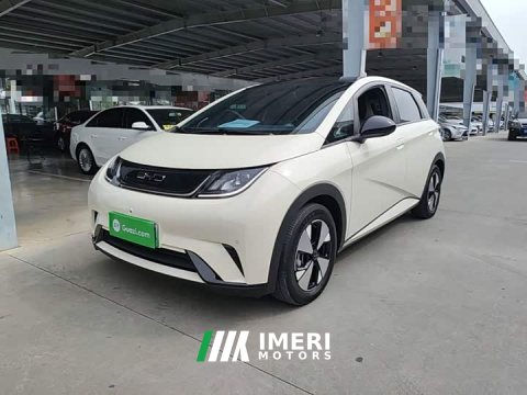 2024 BYD Dolphin 2023 420km Fashion Edition - ავტომობილი ჩინეთიდან