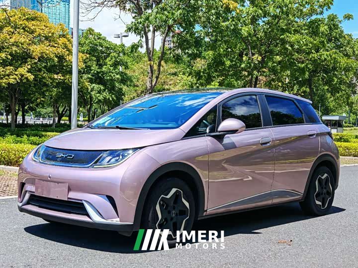BYD Dolphin 405km Fashion Edition - ავტომობილი ჩინეთიდან